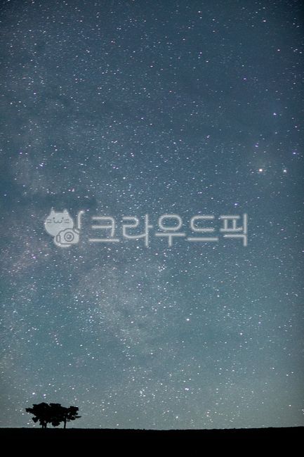 Alone tree,sight,Mirinae,Emotion,Milky Way,Saebijae