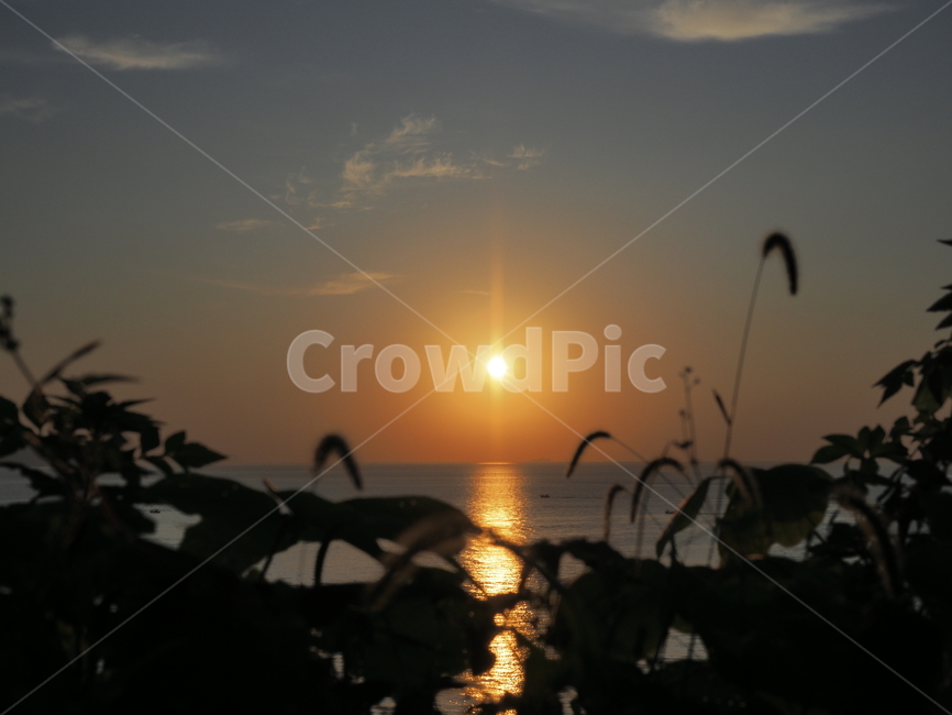 일출,light,빛,flare,플레어,sunlight,햇빛,nature,자연,outdoors,옥외
