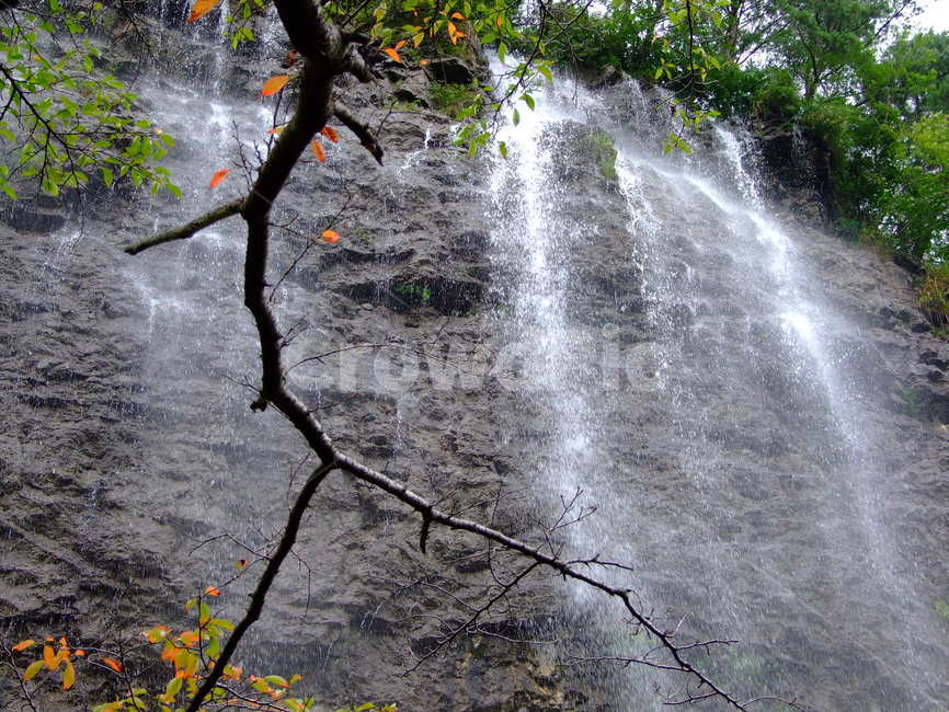 자연꽃,동물,풍경,일반,꽃,하늘,구름,자연,풍경,nature,landscape,water,물,outdoors,옥외,river,강,waterfall,폭포