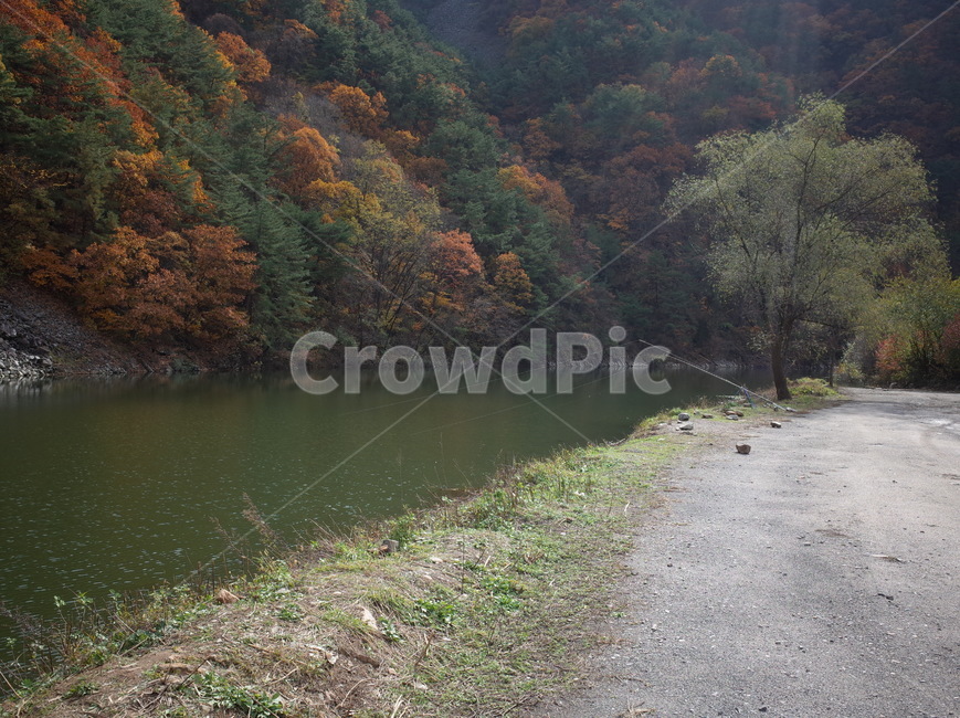 충주호,호수,강,자연,나무,단풍,outdoors,water,자갈,흙길,gravel,자연,풍경,nature,landscape