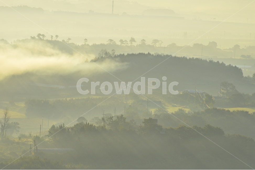 nature,자연,outdoors,옥외,mountainrange,산맥,mountain,산,scenery,풍경,landscape,경치,dawn,새벽,sky,하늘,redsky,붉은하늘,sunlight,햇빛,light,빛,flare,플레어,weather,날씨,안개,함평,밀재,밀재아침,일출,여명,해돋이,농촌들녁,농촌,농업,농사,경작,농경지,자연,풍경,nature,landscape