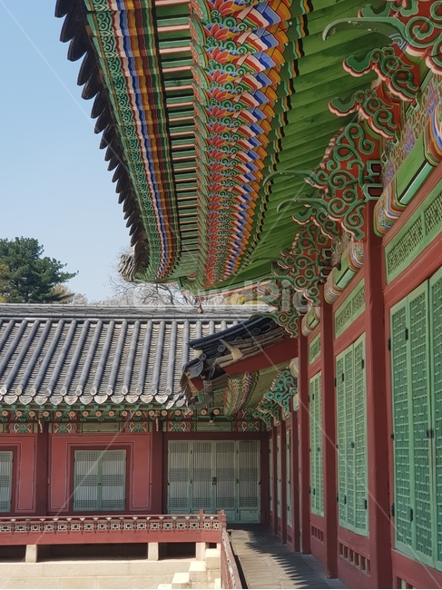 궁,고궁,단청,처마,색감,궁궐,한국전통,한국문화,korean traditional,korean culture,건축물,건물외관,exterior,building,structure,architecture,construction