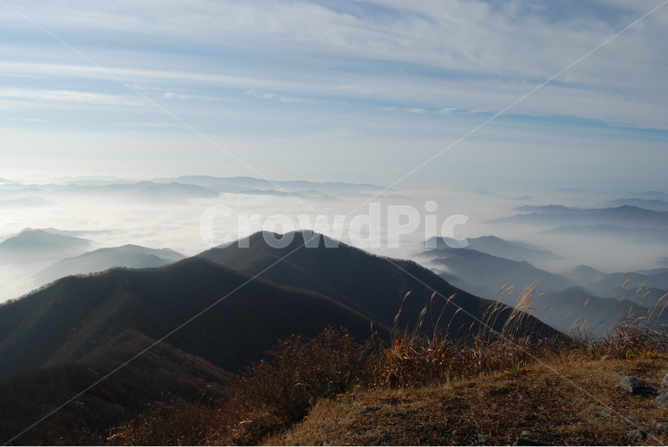 모후산,자연,등산로,휴양림,계절,자연,풍경,nature,landscape,한국자연풍경,한국자연경관,korea nature landscape,mountain,산,outdoors,옥외,mountain range,산맥