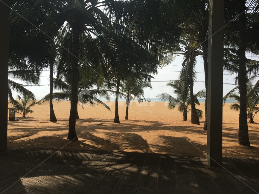 해변,야자수,휴가,풍경,해변가,자연,풍경,nature,landscape,해변,바다,beach,sea,outdoors,옥외,soil,흙