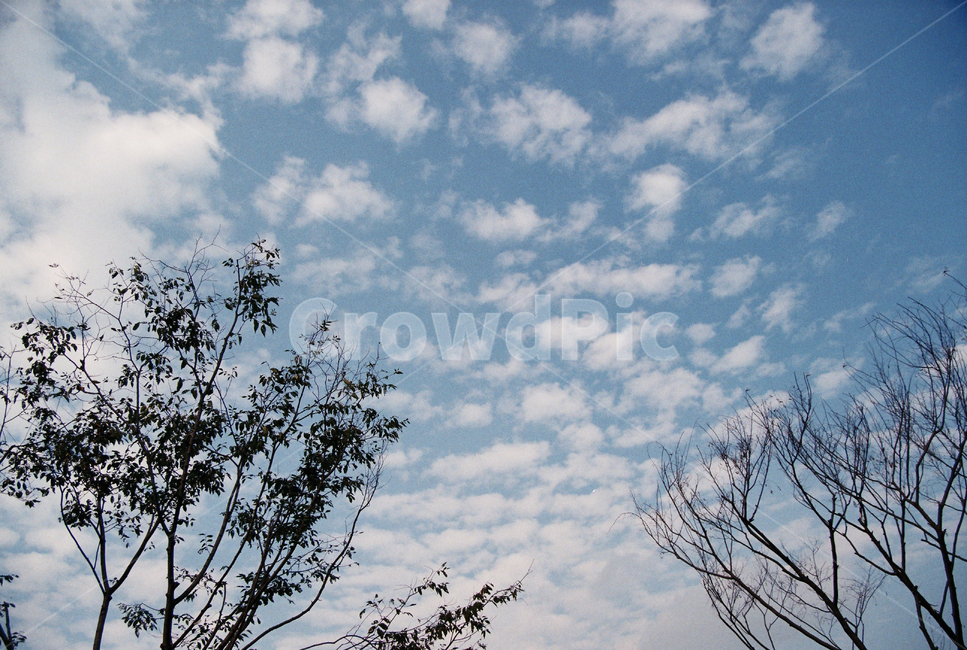 하늘,구름,풍경,clouds,sky,자연,자연,풍경,nature,landscape,outdoors,옥외,cloud