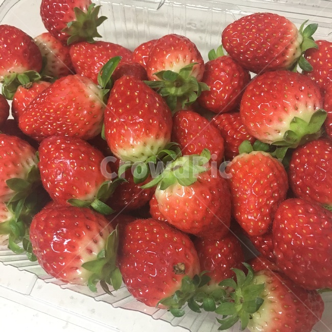 딸기,과일,strawberry,빨간색,red,음식,식재료,요리,food,cook,meal,dishes,food reserves,과일,열매,fruit