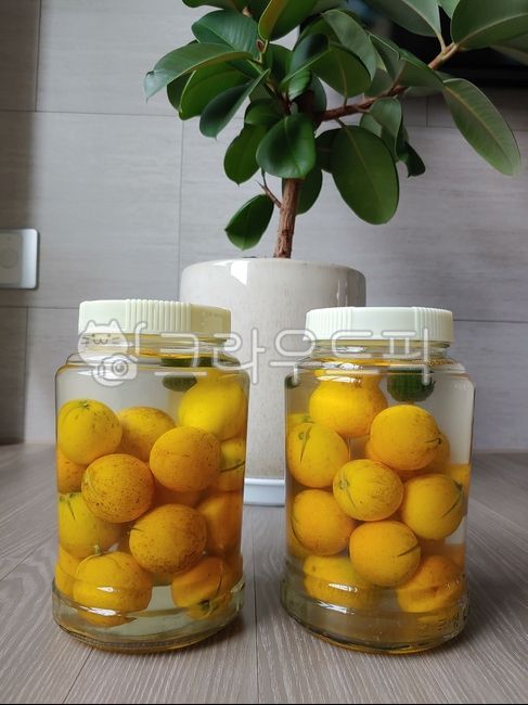 tangerine fruit,Effects of Tangja Liquor,tank fence,Tangjasul,Tangja harvest