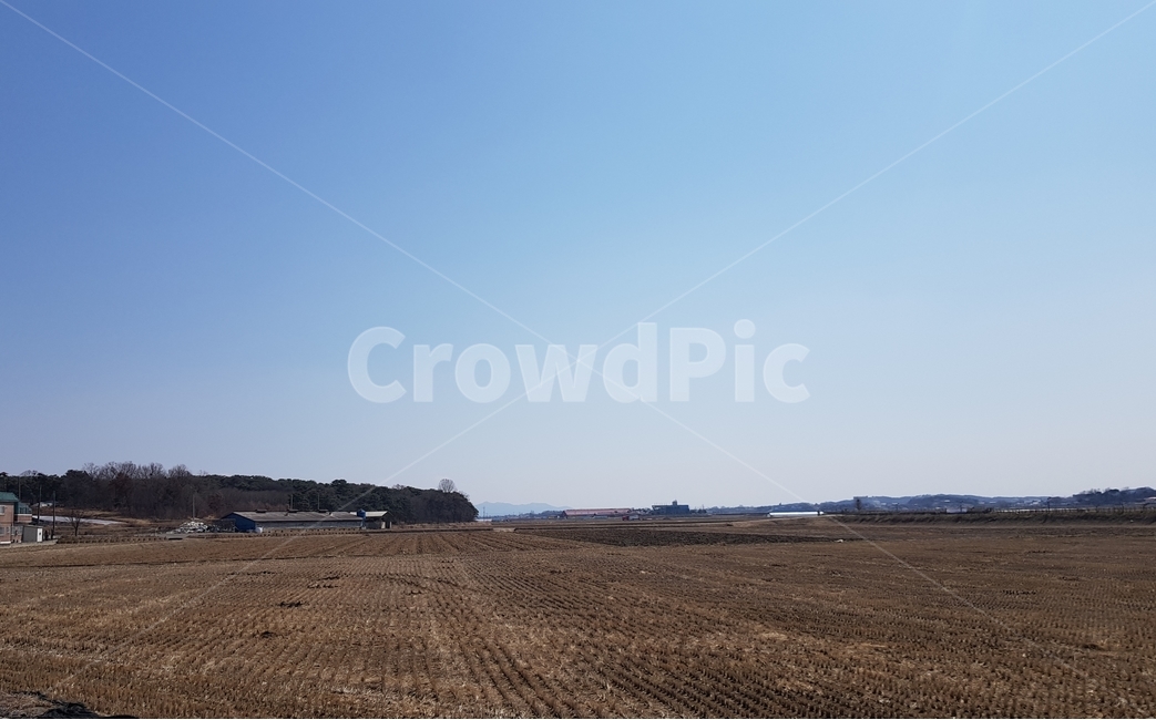 시골밭,시골논,수확한논밭,황야,시골풍경,시골,마을,풍경,landscape,country,rural,town