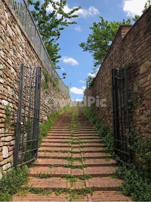 계단,하늘,골목길,이탈리아,유럽,천국,문,골목길,alley,outdoors,옥외,garden,정원
