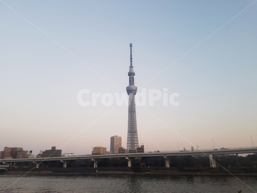 TokyoSkytree,도쿄스카이트리,도쿄,japan,toyko,street,snap,스냅샷,일본,도시,풍경,city,landscape,랜드마크,landmark,tourist attraction,해외,외국,세계,foreign,oversea,world,세계도시풍경,해외도시풍경,외국도시풍경,world cityscape,세계랜드마크,해외랜드마크,외국랜드마크,world landmark,world tourist attraction,building,건물,steeple,뾰족한 탑,architecture,건축물,tower,탑,spire,첨탑