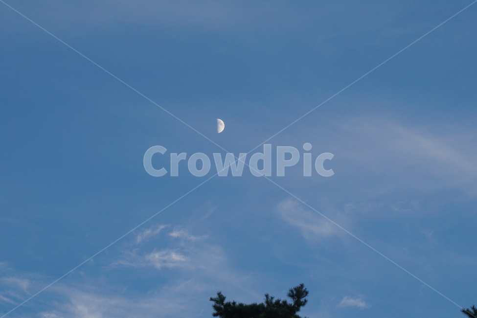 달,하늘,자연,sky,moon