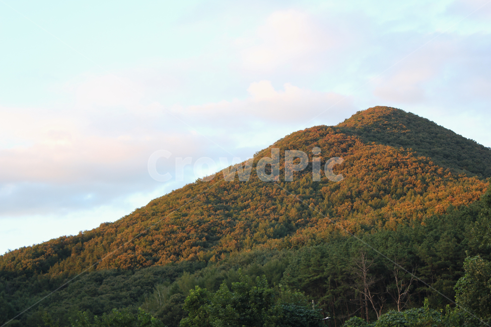 산,가을,산정상,산꼭대기,숲,자연,풍경,하늘,노을,나무