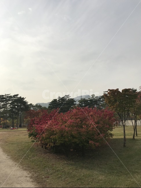 가을,경복궁,경복궁가을,가을풍경,경복궁안의풍경