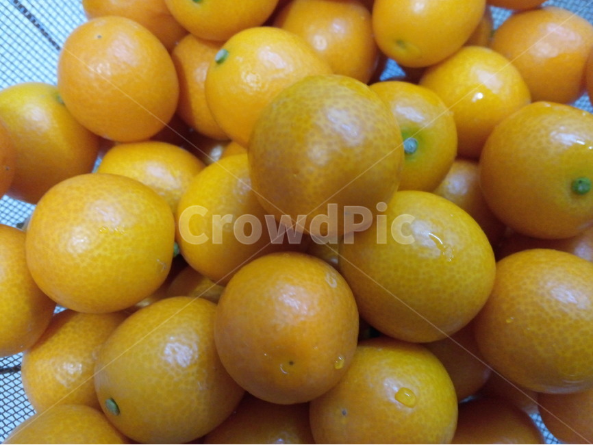 금귤,비타민,과일,노랑색,영양섭취,다이어트,음식,식재료,요리,food,cook,meal,dishes,food reserves,과일,열매,fruit