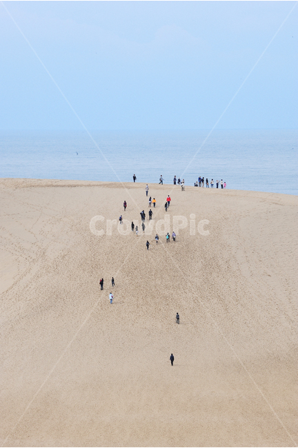 일본,돗토리,돗토리사구,돗토리현,사구,해변,beach,sand,백사장,dune,japan,tottori,해변,바다,beach,sea,사람들,대중,군중,other people,crowd