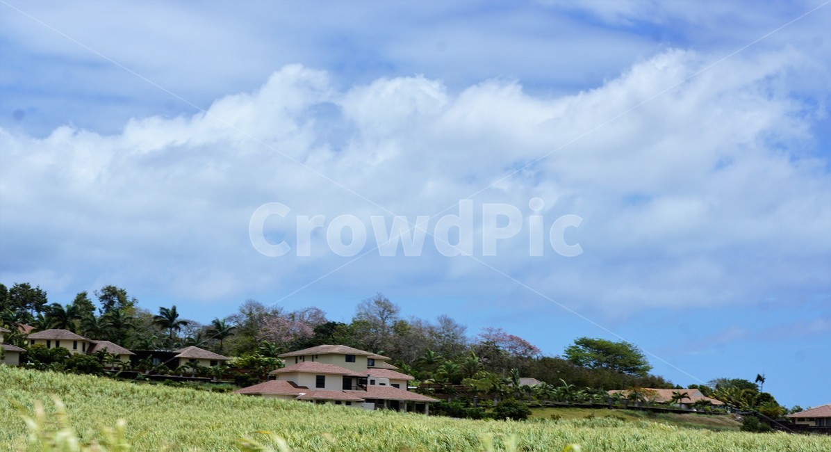 자연,하늘,구름,식물,nature,sky,집,건물,나무,trees,house,모리셔스,외국자연풍경,world,green,감성,시골,마을,풍경,landscape,country,rural,town,해외,외국,세계,foreign,oversea,world