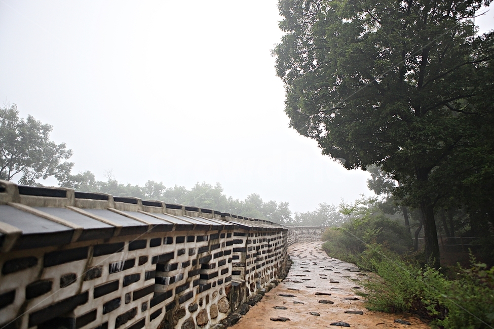 남한산성,성곽,돌담,둘레길,안개,숲길,숲,길,담