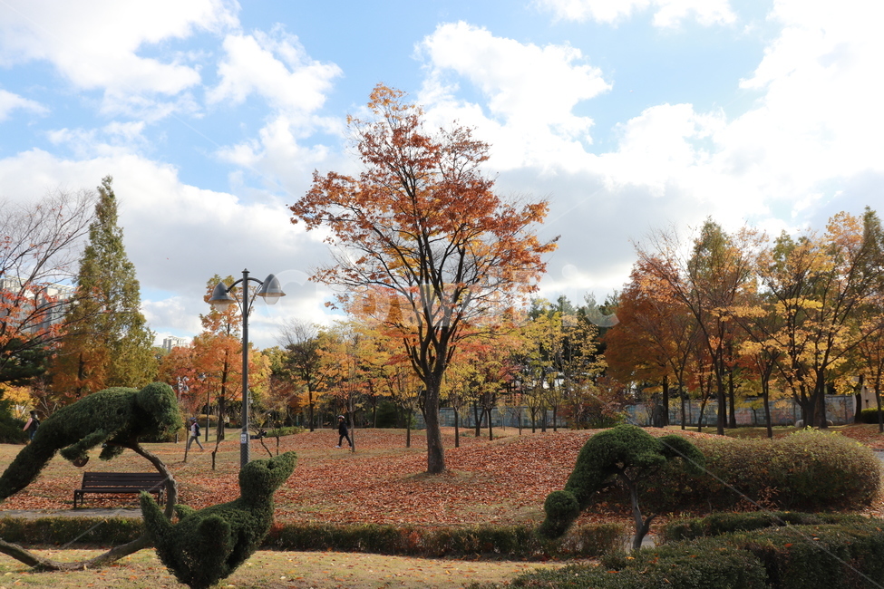 가을하늘,월화원,풍경,단풍,하늘,배경,가을,계절,fall,autumn,season,자연,풍경,nature,landscape,tree,나무,plant,식물