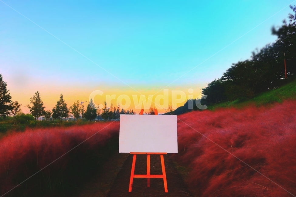 풍경사진,연출사진,감성사진,감성,풍경,밝히는사람들,가을,계절,fall,autumn,season,예술,art,색깔,색상,색채,색감,color sense,color sensitivity,feeling of color,사물,물건,오브젝트,thing,object,matter,canvas,캔버스
