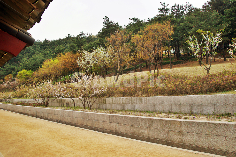 복내당,화성행궁,행궁,수원,정조,내아,처마,후원,한국전통,한국문화,korean traditional,korean culture