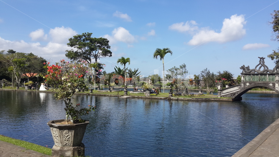 인도네시아,발리,공원,티르타강가,자연,indonesia,bali,park,garden,tirta,gangga,nature,정원,연못,pond