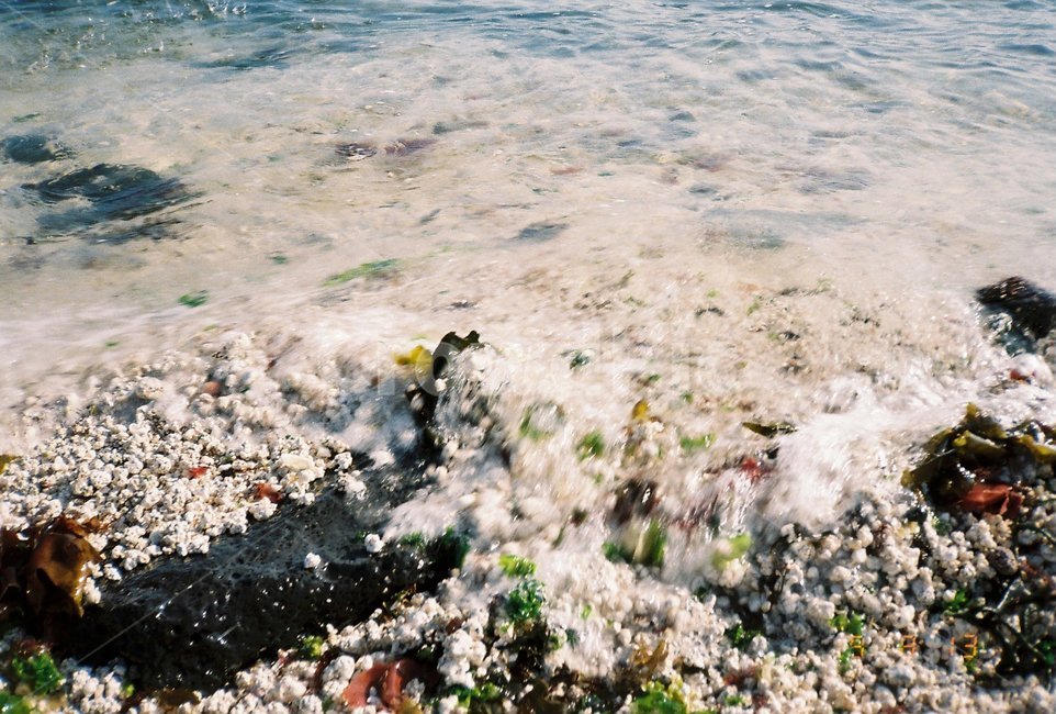 바다,바닷가,파도,해변,rock,해변,바다,beach,sea
