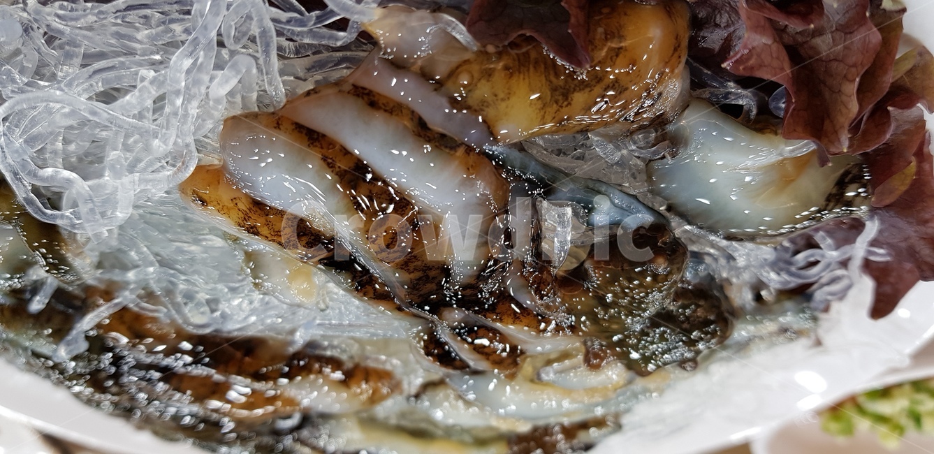 해삼,해물,회,음식,food,seafood,해산물