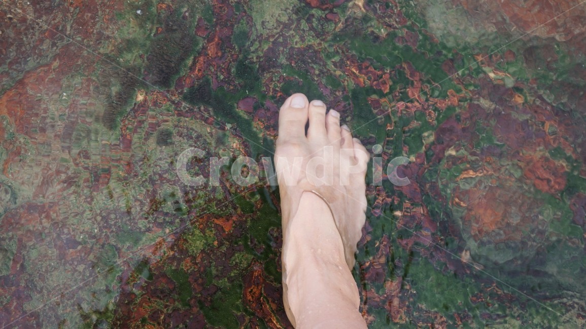 발,몸,물,물이끼,온천수,치유,감성,자연,사람,인물,인간,human,person,신체일부,몸,body