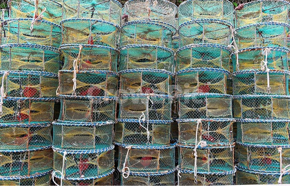 통발,그물,고기잡이,바다,어부,산업,industry,industrial,어업,fishery,fishing industry