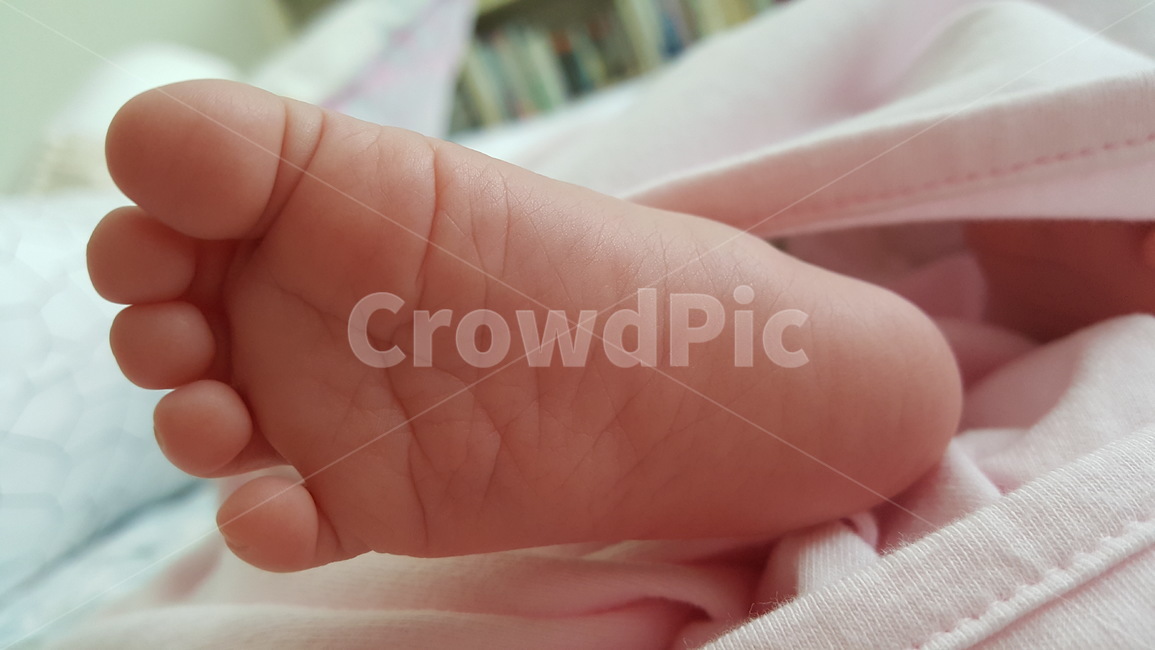 아기발,아기,발,발바닥,발가락,영아,아이발,영아발,여자,사람,신체,foot,인간,감성,사랑,사랑스런,사랑스러운,사람,인물,인간,human,person,영유아,아기,애기,아이,infants,baby