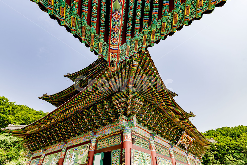 대광사,불교,사찰,절,단청,추녀,처마,고건축,한옥,전통건축,건축물,전통문화,무늬,기와지붕,하늘,한국전통,한국문화,korean traditional,korean culture,건축물,건물외관,exterior,building,structure,architecture,construction