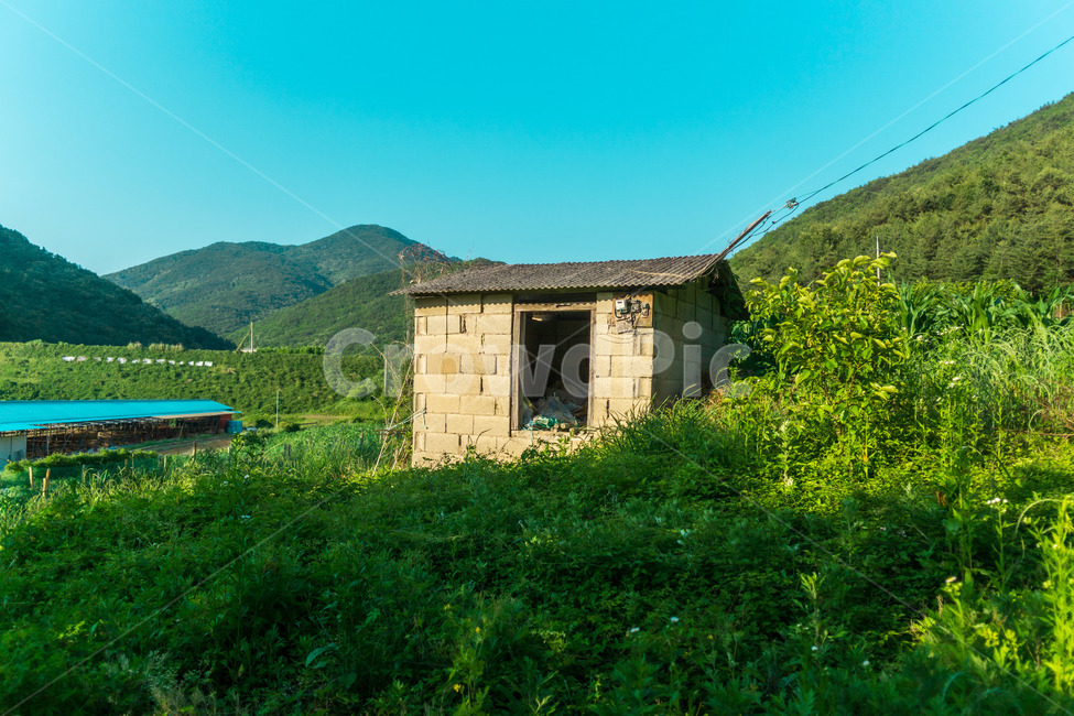 폐허,창고,하늘,풀,오래된건물,ruins,warehouse,sky,grass,anoldbuilding