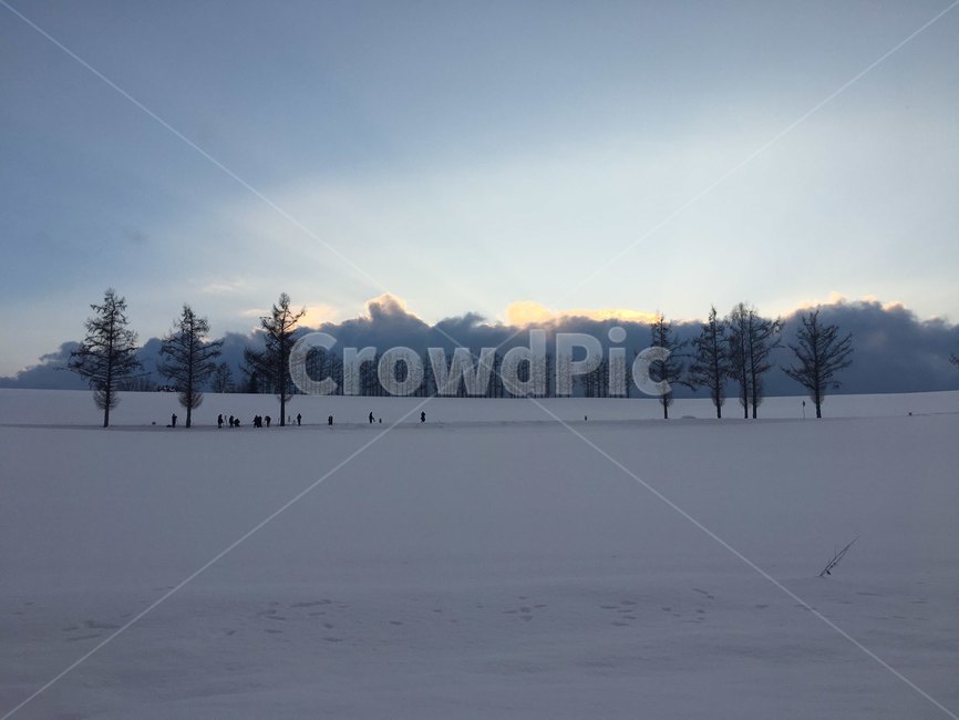 겨울,설경,winter,snow,눈,겨울,계절,winter,season,자연,풍경,nature,landscape,outdoors,옥외,fir,전나무,tree,나무,plant,식물