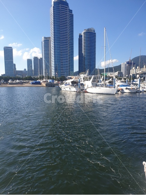 부산,바다,광안리,요트,수영만,요트경기장,여름바다,하늘,휴가,부산바다,해운대,마린시티,sea,yacht,요트투어,요트체험,항해