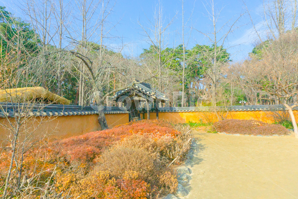nature,자연,기와집,풍경,건물