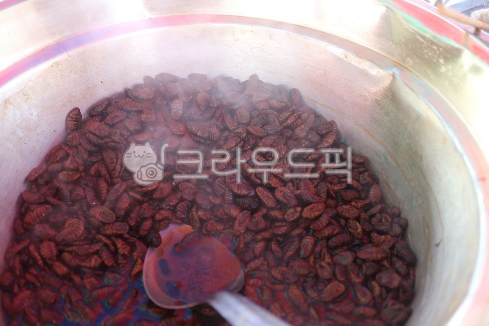 번데기,음식,식품,food,뻔데기,번데기식품,길거리음식,한국길거리음식,토종음식,겨울간식,한국간식