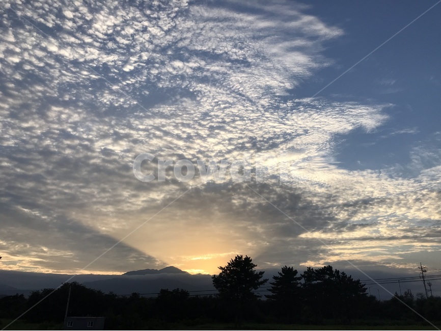 노을진하늘,구름,강원도,양때구름,양양,자연,풍경,nature,landscape,outdoors,옥외,sky,하늘