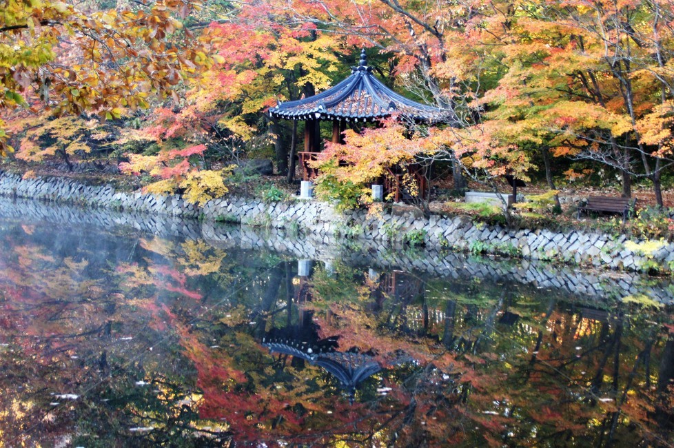 가을,단풍,자연,나무,식물,저수지,그림자,정자,산속,autumn,season,trees,nature,풍경,자연풍경,감성,emotion,안개,가을,계절,fall,autumn,season