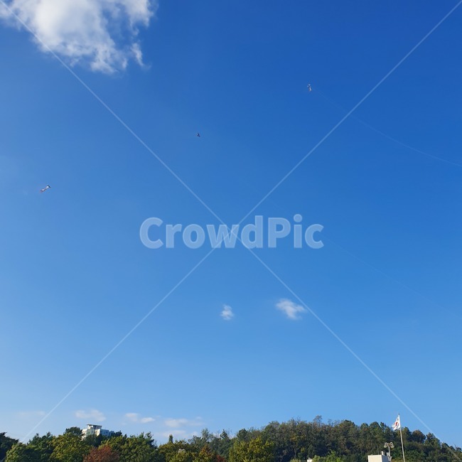자연,nature,sky,하늘,나무,tree,bluesky,푸른하늘,파란하늘,outdoors