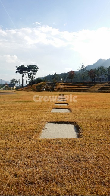 들,field,가을하늘,가을벌판,노란잔디