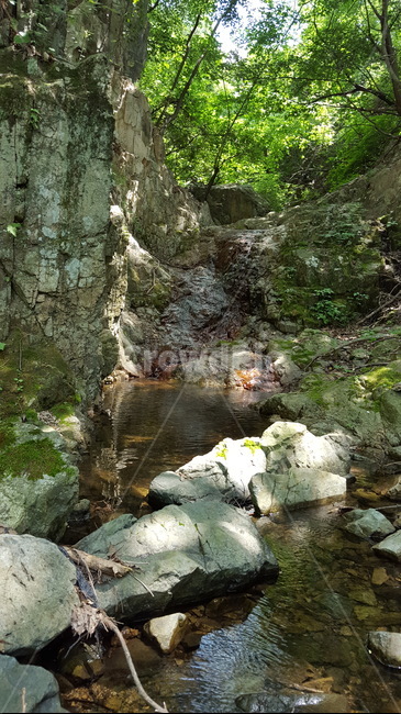자연,개울,나무,풍경,바위,자연,풍경,nature,landscape,water,물,outdoors,옥외,stream,흐름,creek,작은 만,river,강