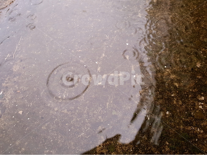 빗방울,물,빗물,패턴,배경,날씨,감정,비오는날,rain,raindrops,background,weather,pattern,비,비오는날,rain,rainy