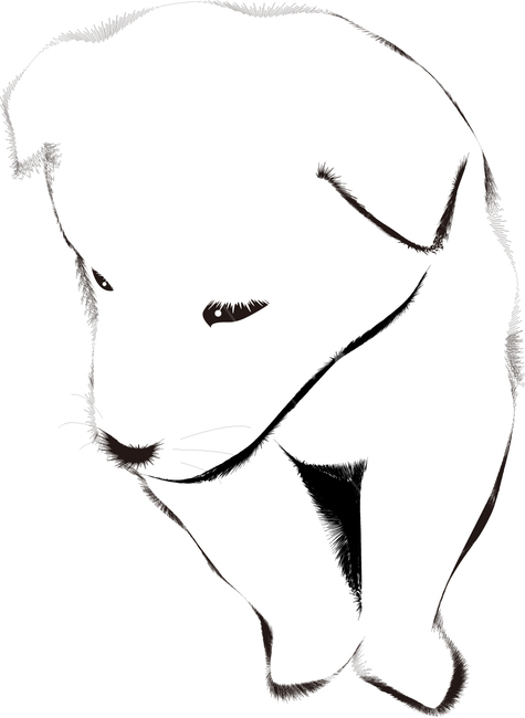 백구,진돗개,새끼강아지,토종개,한국개,하얀강아지,귀여운,잠자는,멍멍이,강아지,개,강아지,dog,doggy,그래픽,일러스트레이션,graphic,illustration