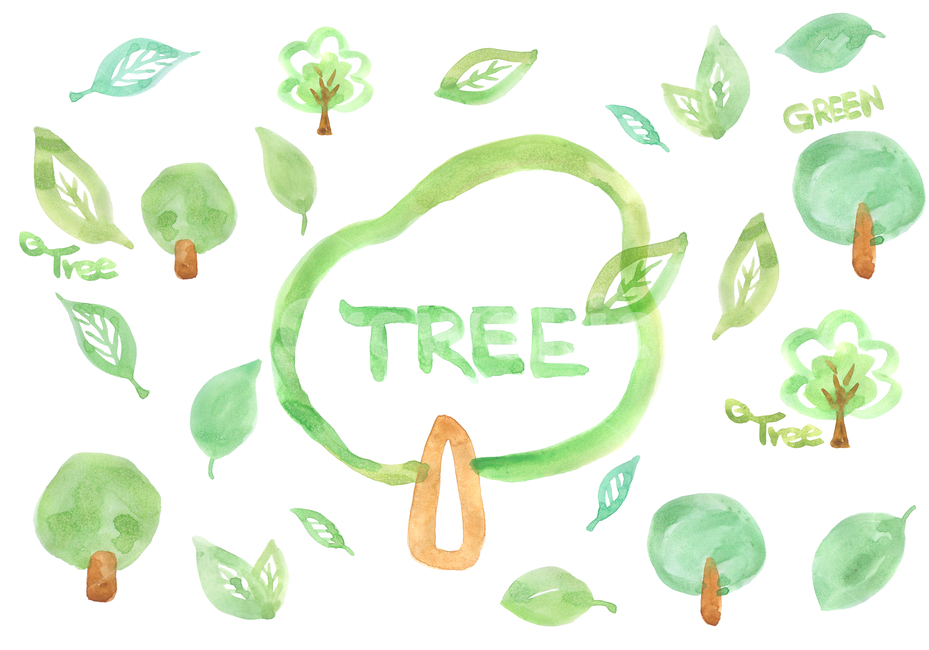 나무,나뭇잎,잎,식물,tree,plant,leaf,봄,texture,frame,낙엽,여름,수작업,수채화,일러스트,손그림,가을,자연,문양,패턴,무늬,꽃,프레임,라인,네추럴,pattern,그래픽,일러스트레이션,graphic,illustration