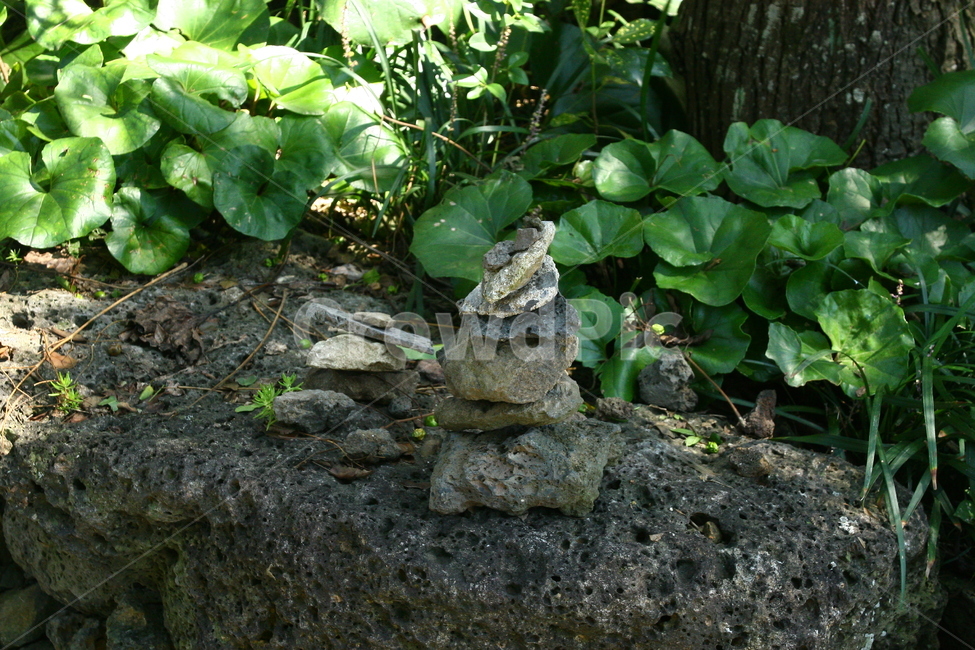 제주,제주도,돌탑,미니돌탑,작은돌탑,잎,돌,자연,풍경,nature,landscape