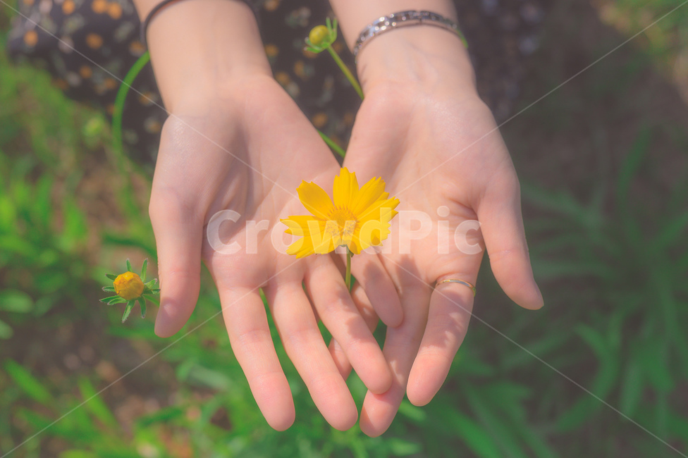 사랑,꽃말,꽃,손,감성,가을,계절,fall,autumn,season,꽃,flower,감성,sensible,feeling