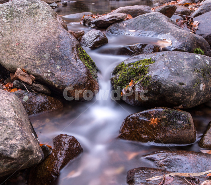 풍경,자연,배경,하천,단풍잎,자연,풍경,nature,landscape