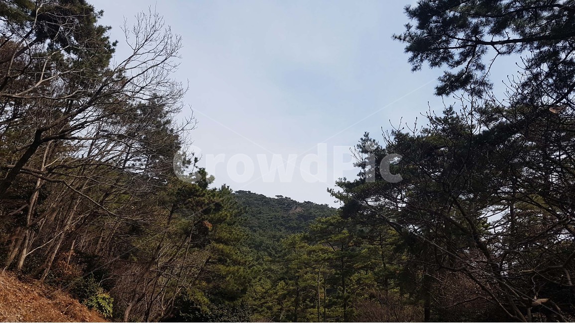 산,하늘,나무,언덕,자연,풍경,절경,여행,나들이,가을,추억,푸른,자연,풍경,nature,landscape,tree,plant,식물,fir,전나무,outdoors,옥외