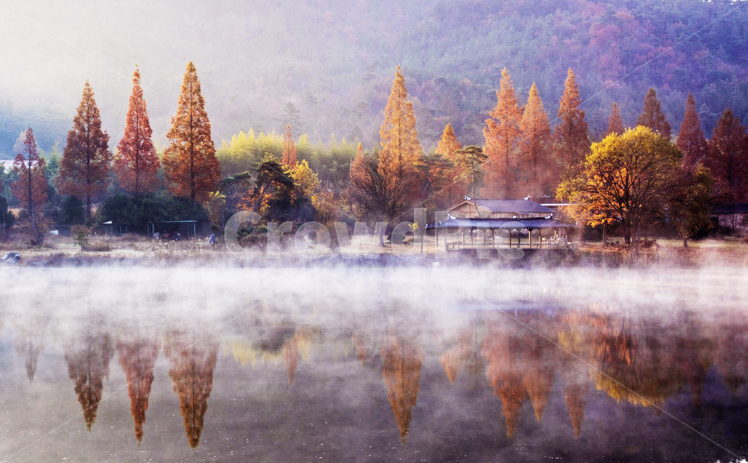 전남,나주,오봉제,오봉저수지,물안개,가을,추색,만추,빛,단풍,경치,경관,풍경,plant,식물,tree,나무,nature,자연,한국자연풍경,한국자연경관,korea nature landscape