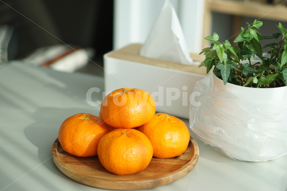 귤,과일,간식,천혜향,레드향,감귤류과일,fruit,orange,주황색,음식,food,겨울간식,음식,식재료,요리,food,cook,meal,dishes,food reserves,과일,열매,fruit